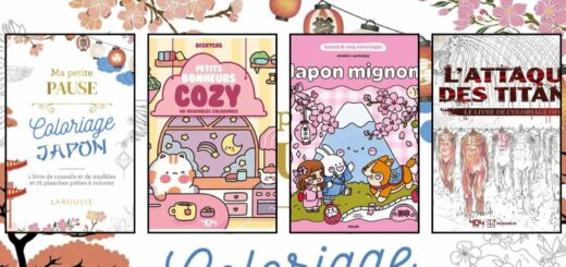 Livre Coloriage Japon