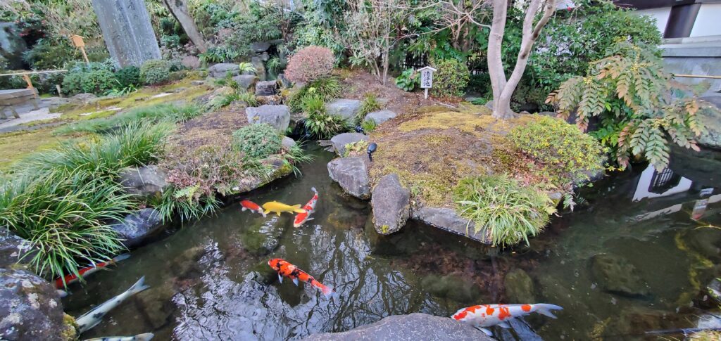 Le charme des jardins japonais.@YoannMolina
