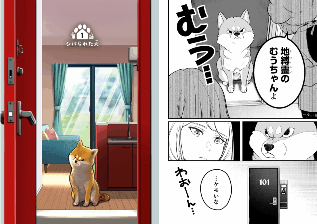 Shiba Inu Rooms