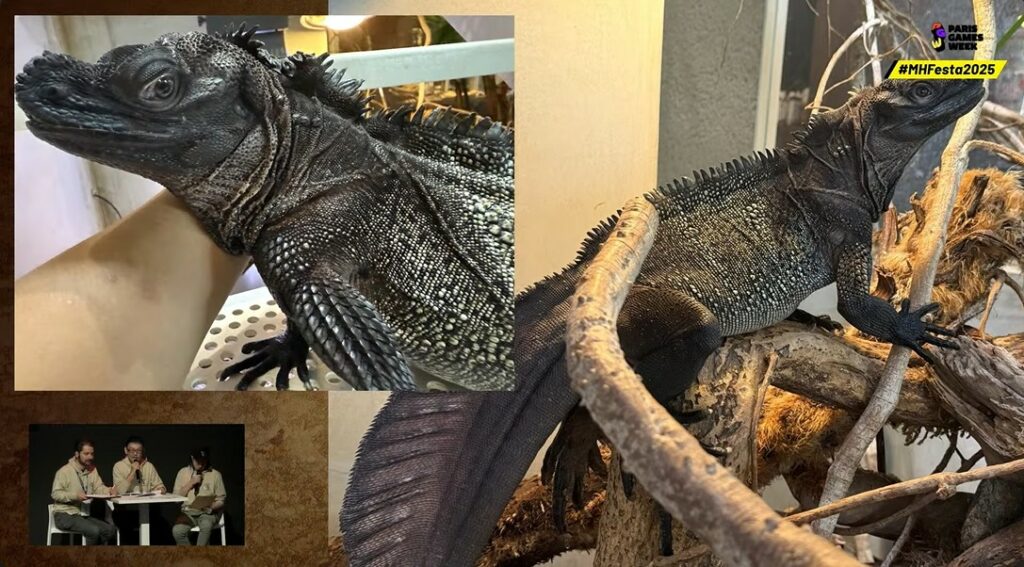 Lézard appartenant à Yuya Tokuda