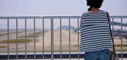 Image par hiroshi mack de Pixabay