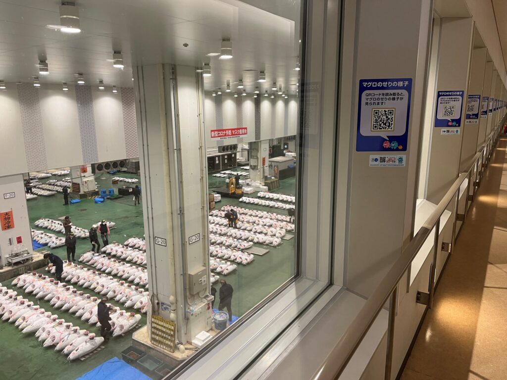 Couloir avec une baie vitrée permettant d'apercevoir, en contrebas, la salle des enchères avec des poissons alignés.