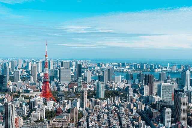 Vue sur la ville de Tokyo et sa tour construite pour la reconstruction du Japon après la seconde guerre mondiale.
