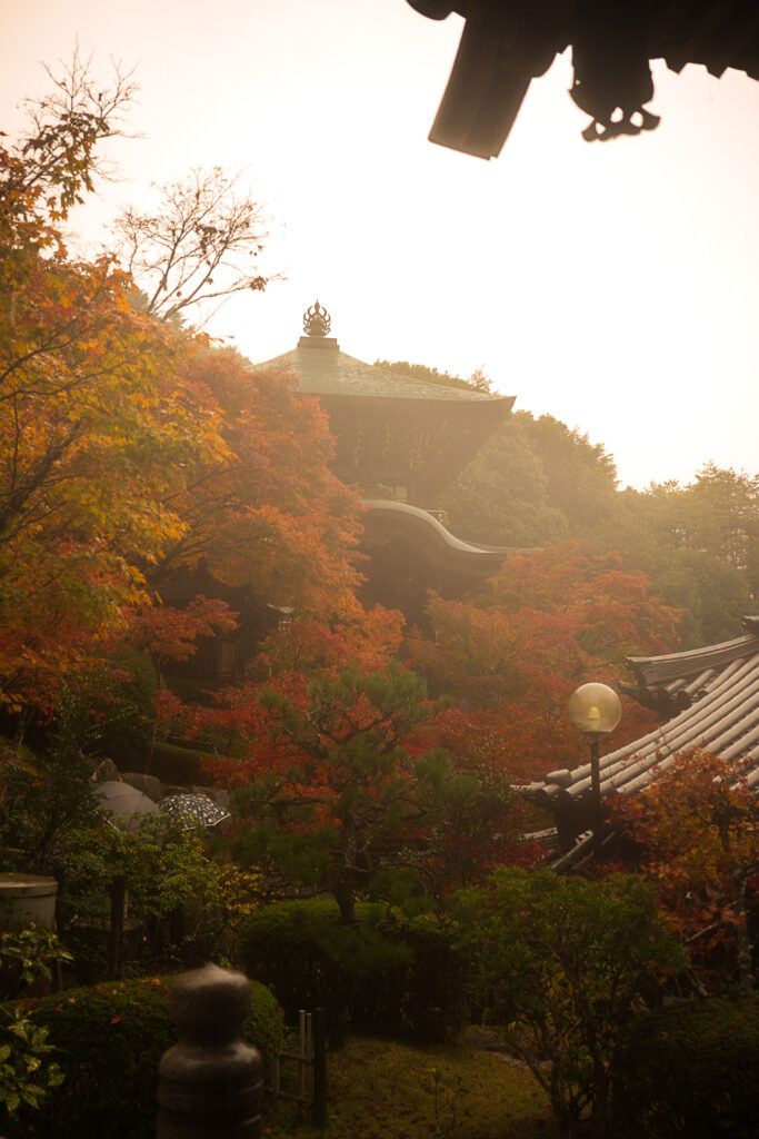 Entrée du temple Daisho-in sous la pluie