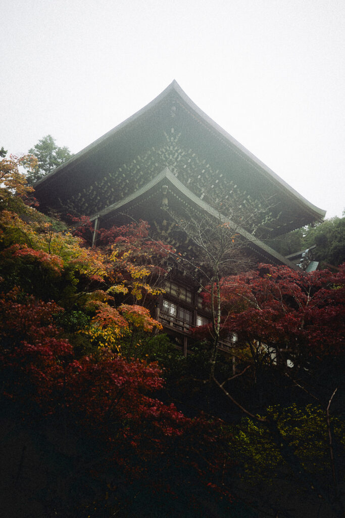 Pavillon du temple Daisho-in à travers les érables