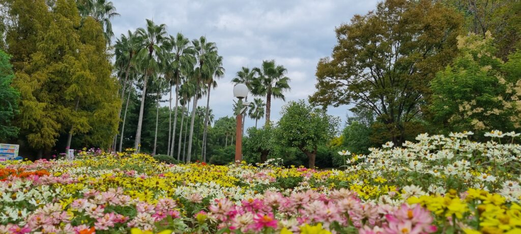 jardin botanique Tsurumi Ryokuchi