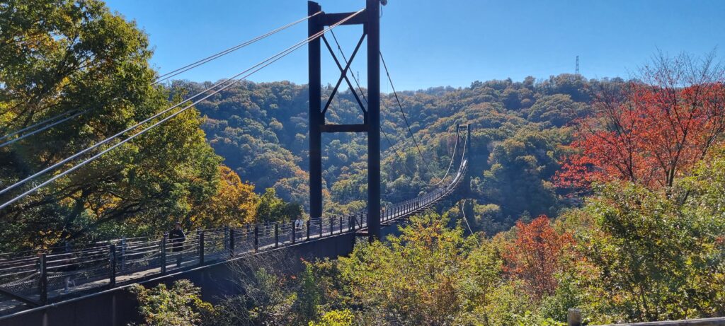 pont suspendu Parc Hoshida Osaka