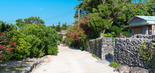 Un paysage avec un chemin en terre battue, deux murets en pierre grise de part et d'autre, des arbres et un ciel bleu en arrière plan