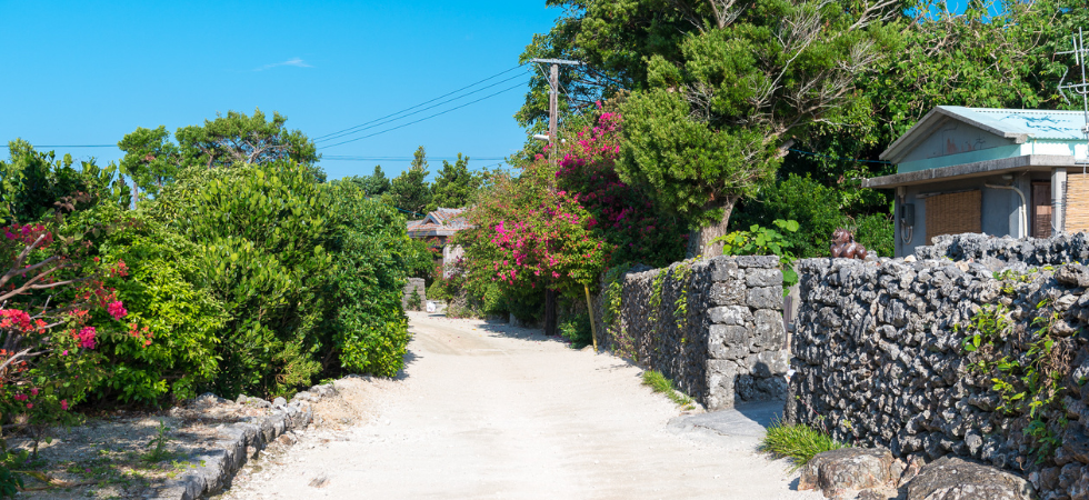 Un paysage avec un chemin en terre battue, deux murets en pierre grise de part et d'autre, des arbres et un ciel bleu en arrière plan