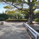 Image d'un parc dans Kuwana