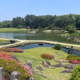 Parc Kôrakuen ©Naoko Ikoma